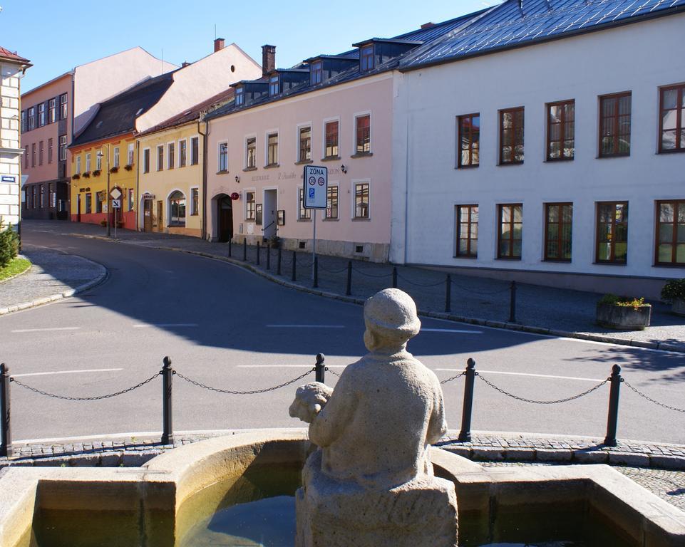 Penzion U Pasacka Nove Mesto na Morave Exterior foto